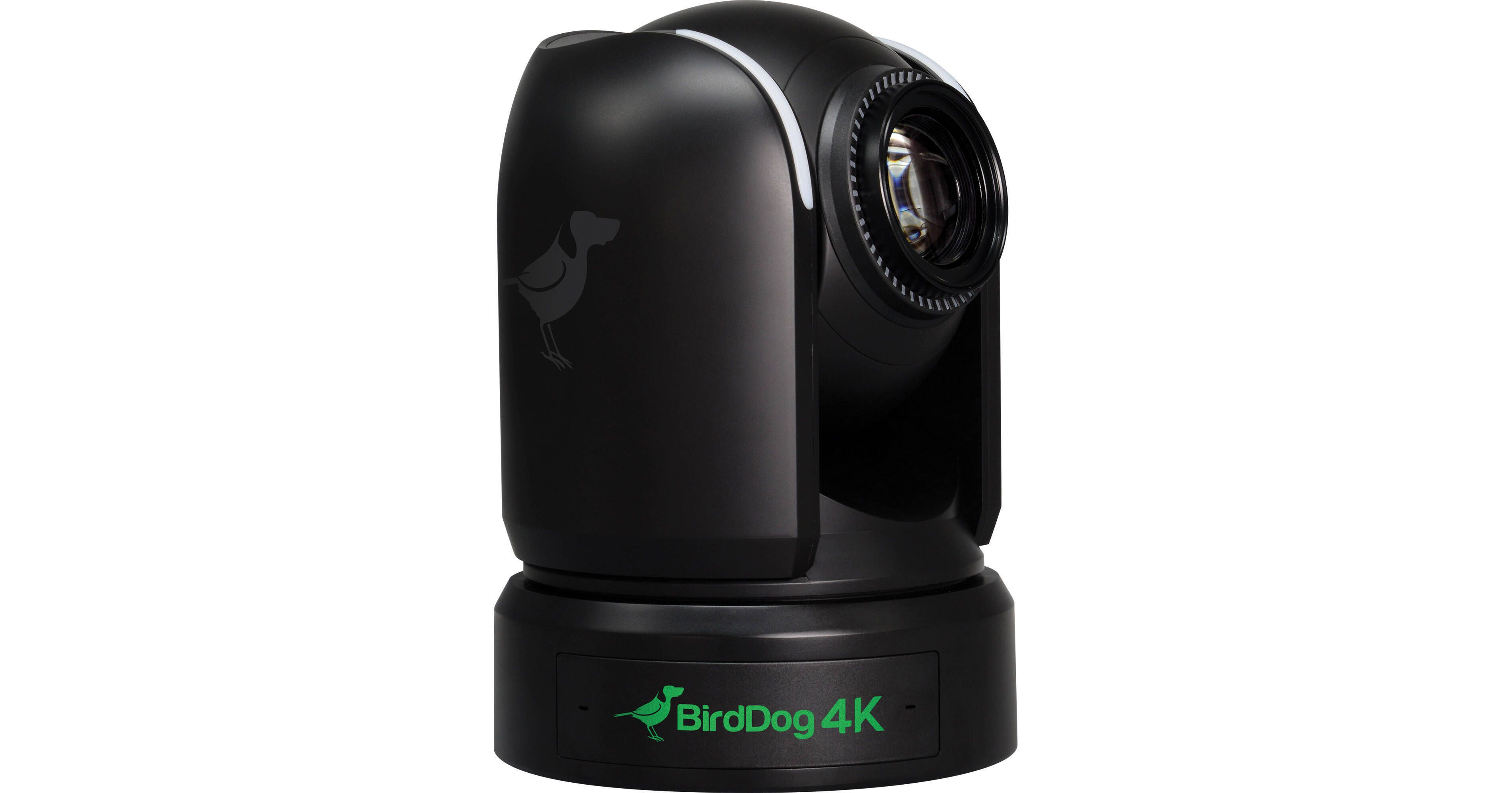 BirdDog P4K
