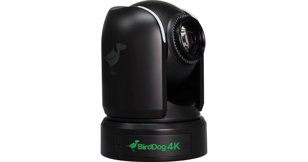 BirdDog P4K